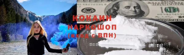 прущие грибы Покров