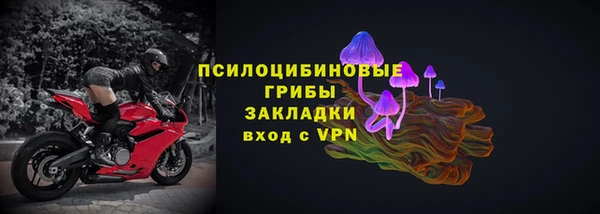 тгк Вяземский