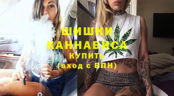 тгк Вяземский