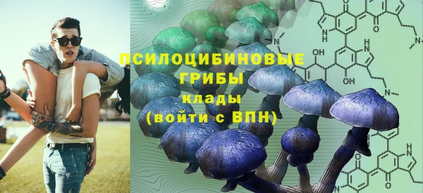 тгк Вяземский