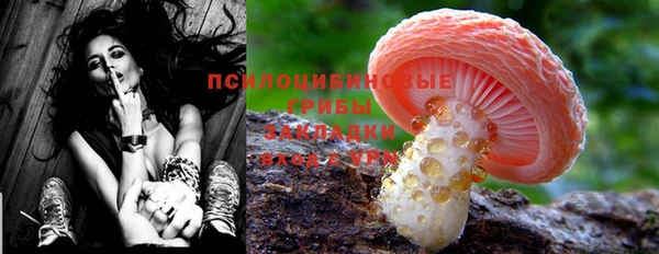 тгк Вяземский